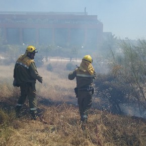 Ciudadanos (C’s) Las Rozas alerta sobre la falta de medidas en la prevención de incendios forestales en la época estival Ciudadanos (C’s) Las Rozas alerta sobre la falta de medidas en la prevención de incendios forestales en la época estival